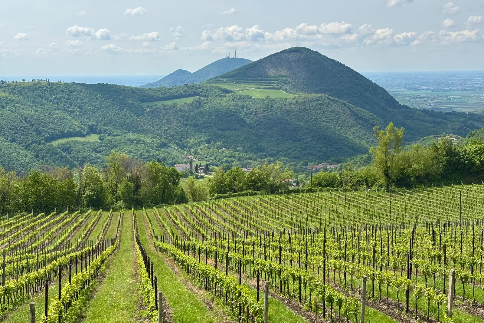 Euganean Hills and Abano