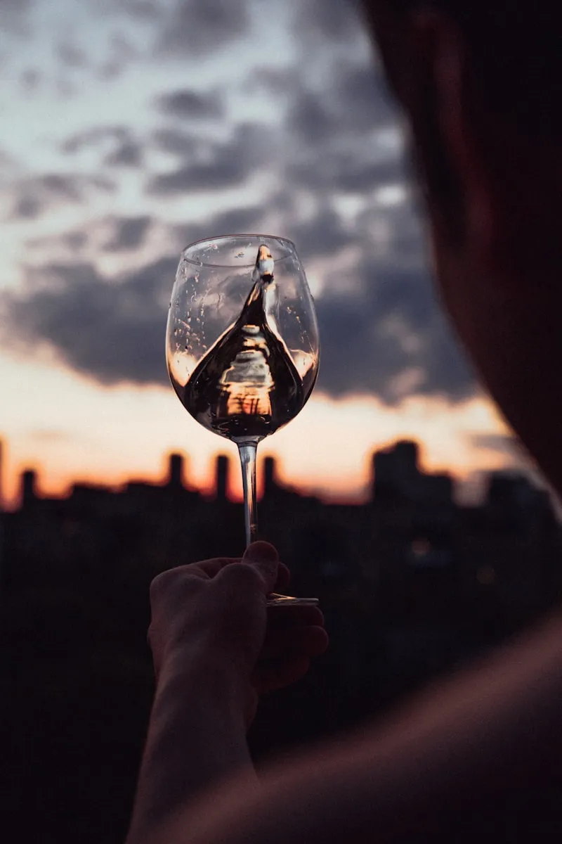Nero d'Avola wine tasting in north-east Italy